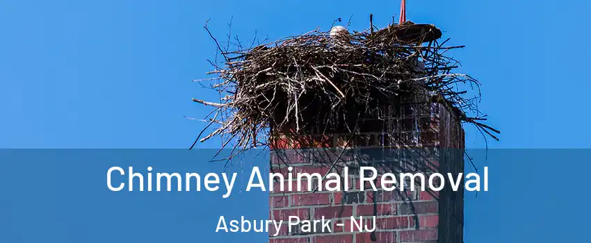  Chimney Animal Removal Asbury Park - NJ